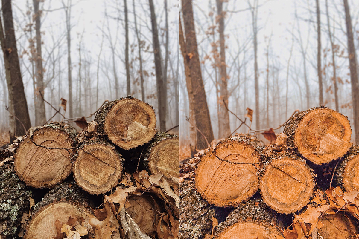 4 Autumn Lightroom Presets, a Preset Add-On by AnagramDesign (Photo 7 of 8)