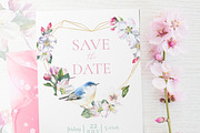 Watercolor Spring Birds Robin, an Illustration by Catherine Wheel (Thumbnail 2 of 11)