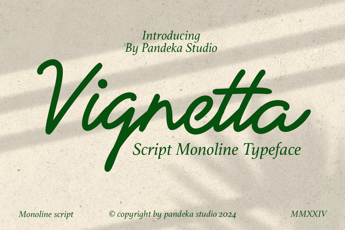 Vignetta - Casual Script Monoline, a Script Font by Pandeka Studio (Photo 1 of 9)