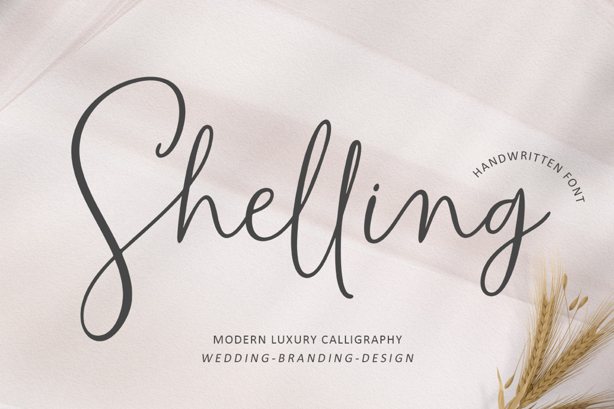 Shelling Script, a Script Font by Rastype (Photo 1 of 9)