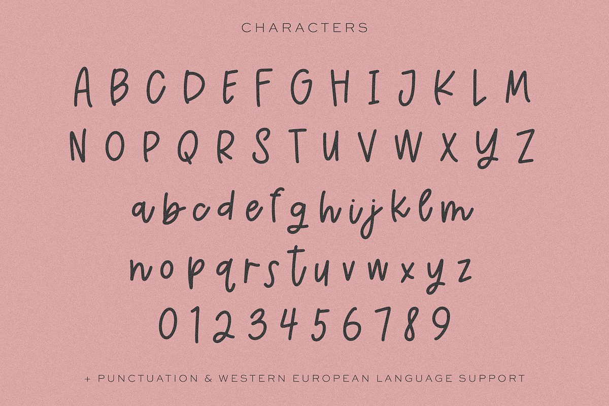 Cinnamon Season Script, a Script Font by Beck McCormick (Photo 10 of 10)