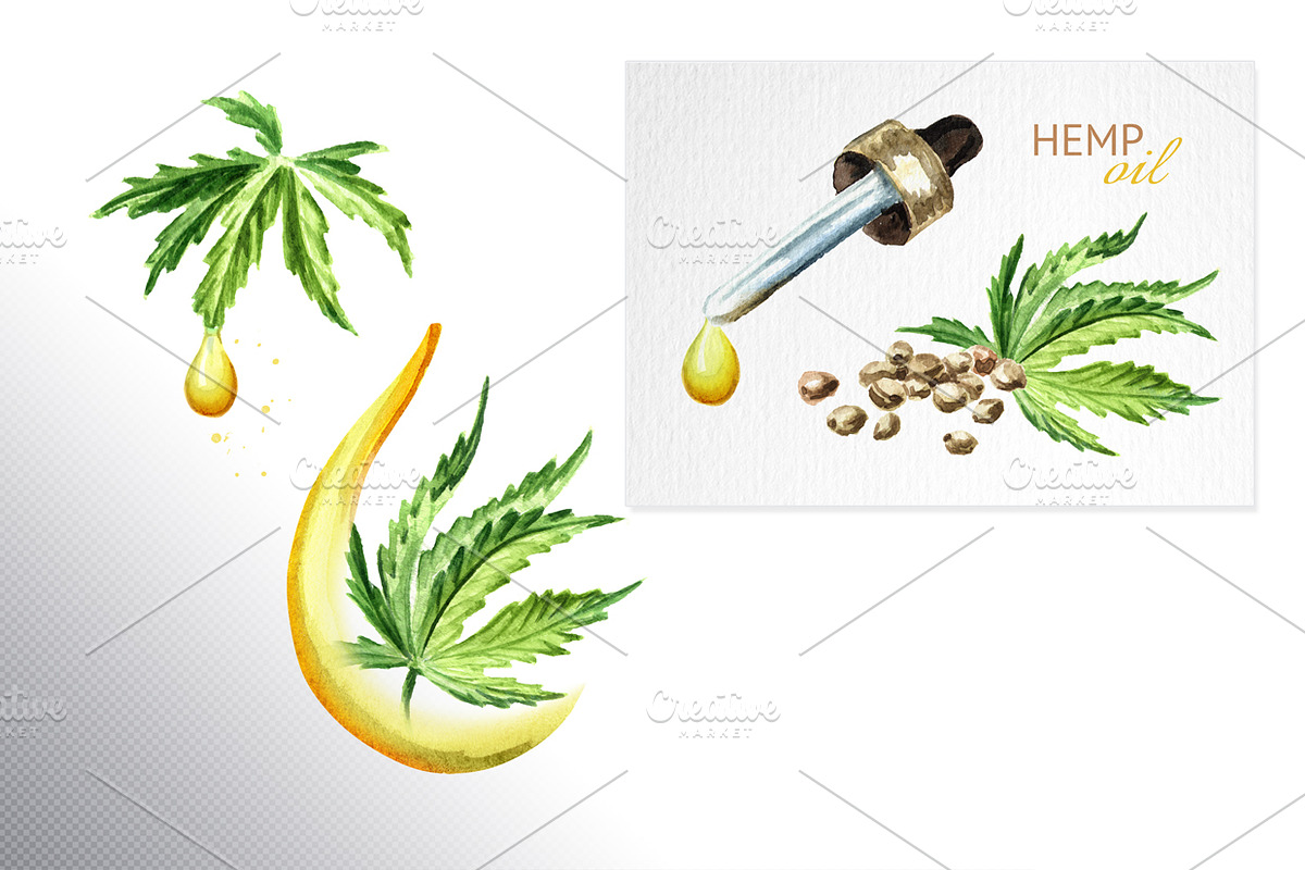 Cannabis. Watercolor collection, a Healthcare Illustration by Daria Ustiugova (Photo 5 of 12)