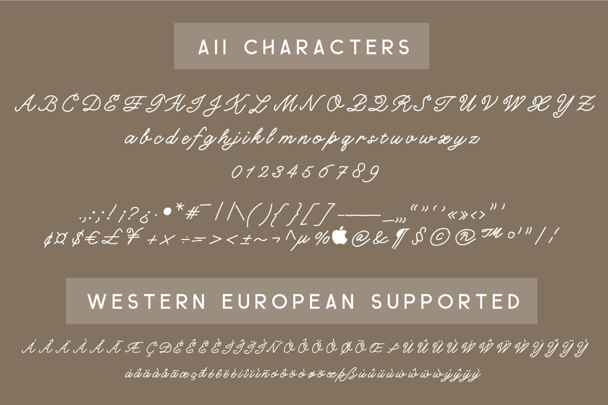 Charlotte Script Typeface preview 4
