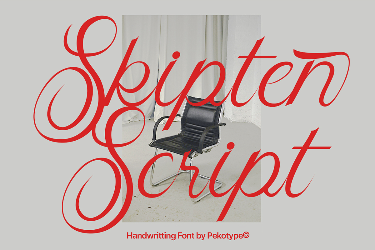 Skipten - Script Handwritten Font, a Script Font by Pekotype (Photo 4 of 11)