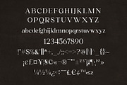 Gold & Song Modern Serif Font, a Serif Font by Storytype Studio (Thumbnail 12 of 15)