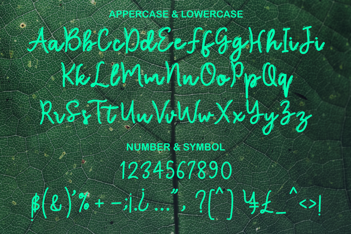 Senyawa, a Script Font by cocodesign (Photo 6 of 6)