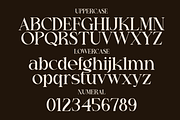 Prole Derose Font, a Serif Font by Marvadesign (Thumbnail 2 of 7)