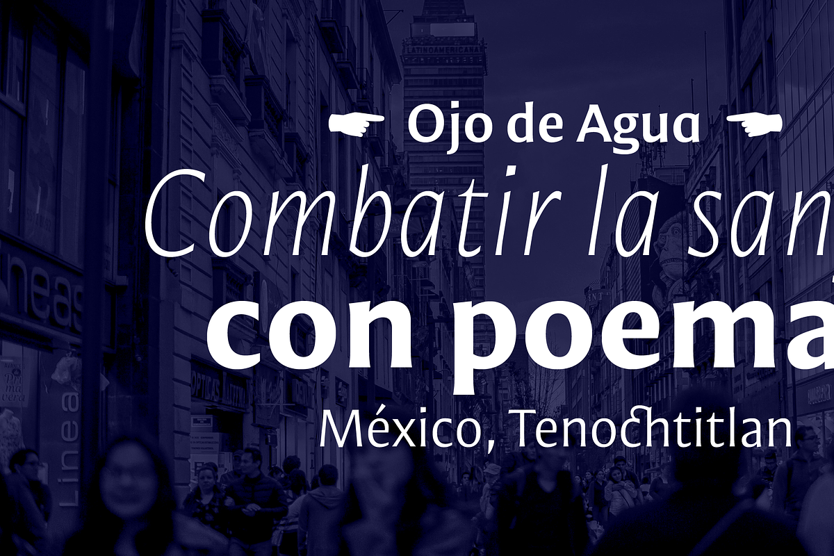 Mestiza Sans, a Sans Serif Font by Lechuga Type (Photo 15 of 19)