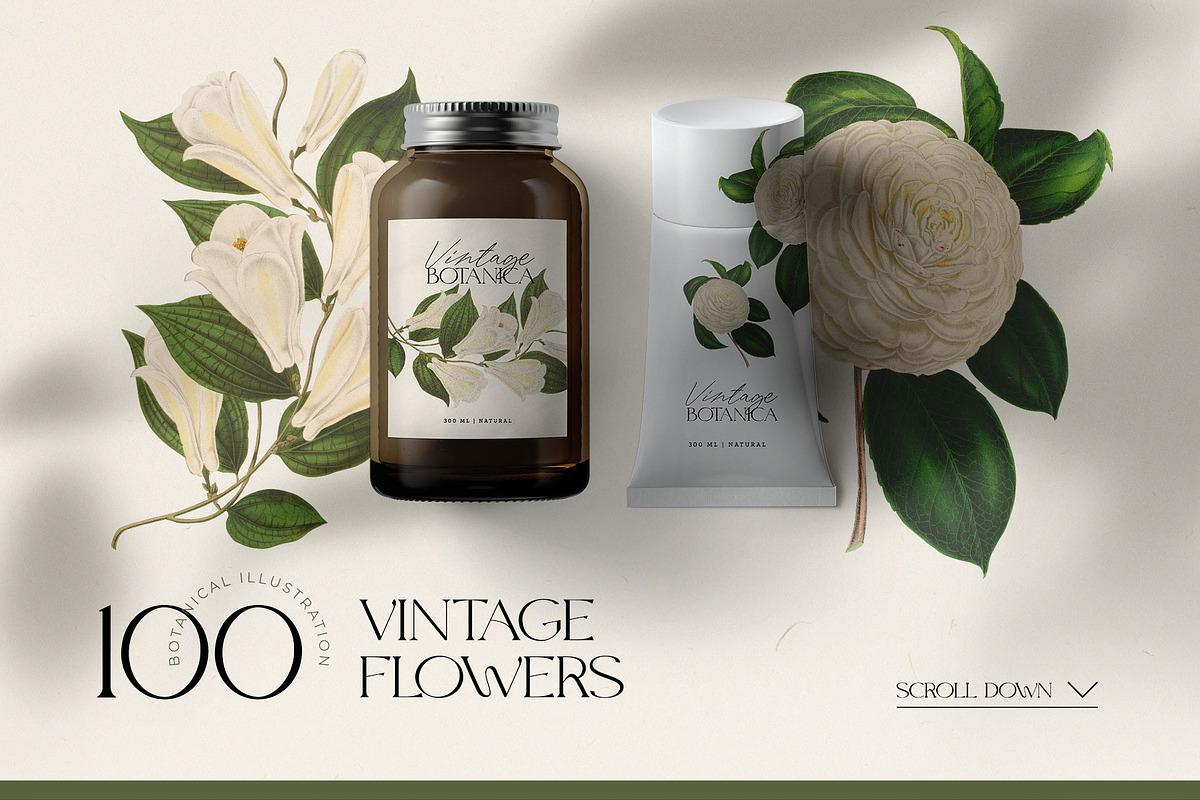 Vintage Botanica | Collage Creator, an Object Graphic by Leleka.Store (Photo 4 of 15)