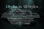 Evolve Early Serif Font Family, a Serif Font by groens (Thumbnail 14 of 15)