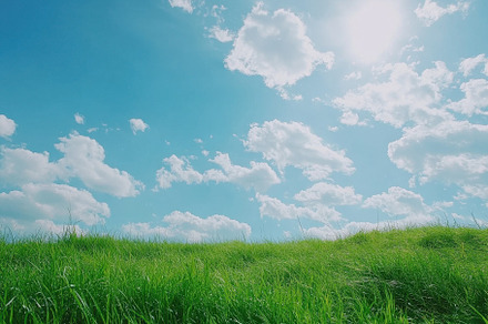 Vibrant green grass under a clear bl, a Photo by Iftikhar Alam