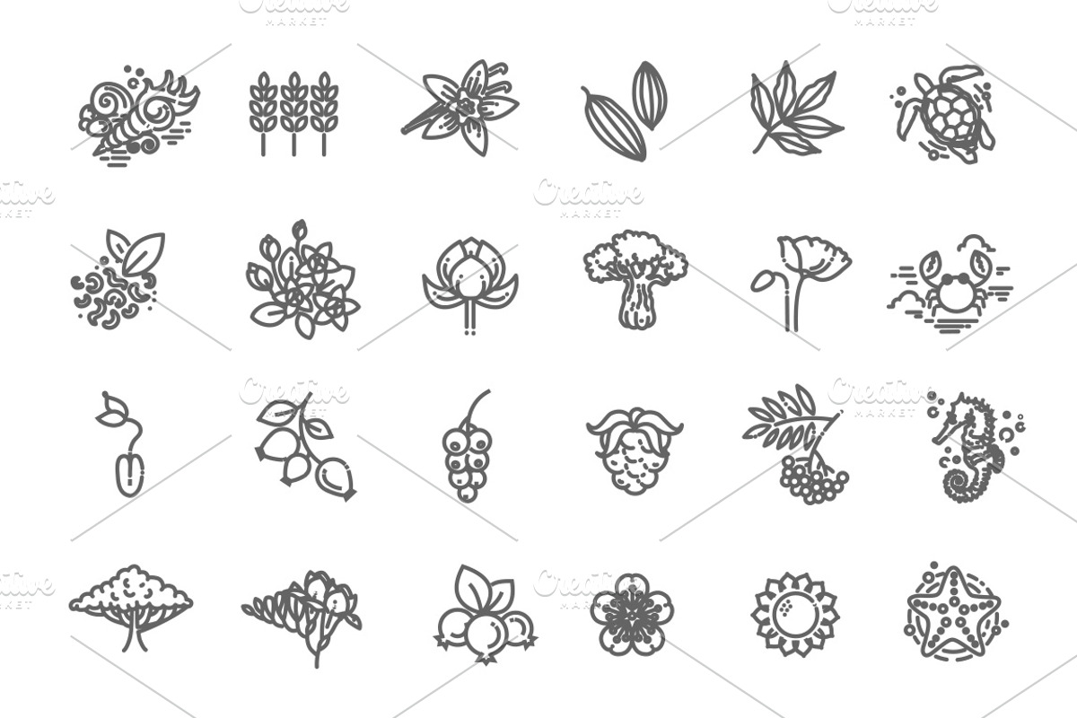 Plants Vector Icons, an Outline Icon by Tettygreen (Photo 2 of 2)