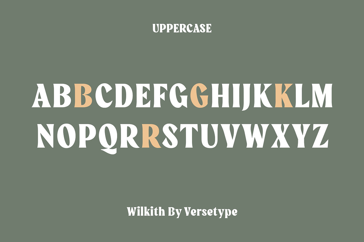 Wilkith Bold Serif, a Serif Font by Versetype (Photo 10 of 12)