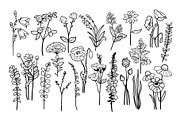 Wildflower SVG PNG Bundle, an Object Graphic by ArtGiftsStudio (Thumbnail 3 of 6)
