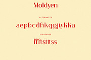 Moldyen Font Family, a Serif Font by MJtypefoundry (Thumbnail 9 of 10)