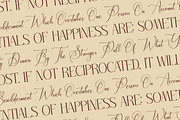 Serandipity Boutique Font Duo, a Serif Font by Storytype Studio (Thumbnail 10 of 15)