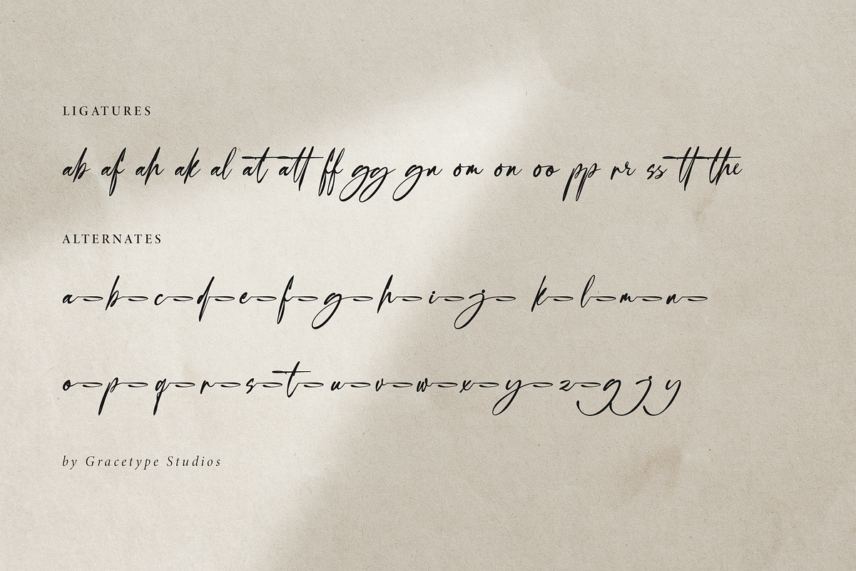 Villargio | Signature Script, a Script Font by gracetype_studio (Photo 12 of 12)