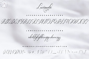 Lucianda Script, a Script Font by Nowlystudios (Thumbnail 6 of 8)