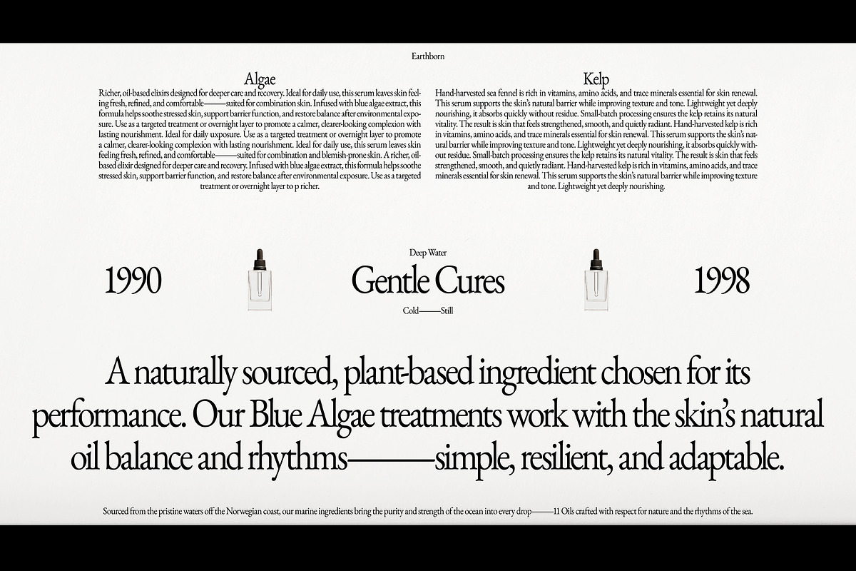 Brand Presentation Deck Template, a Presentation Template by Studio Viita (Photo 5 of 10)