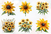 Black Eyed Susan Watercolor Cliparts, an Illustration by RobertsArt (Thumbnail 7 of 7)
