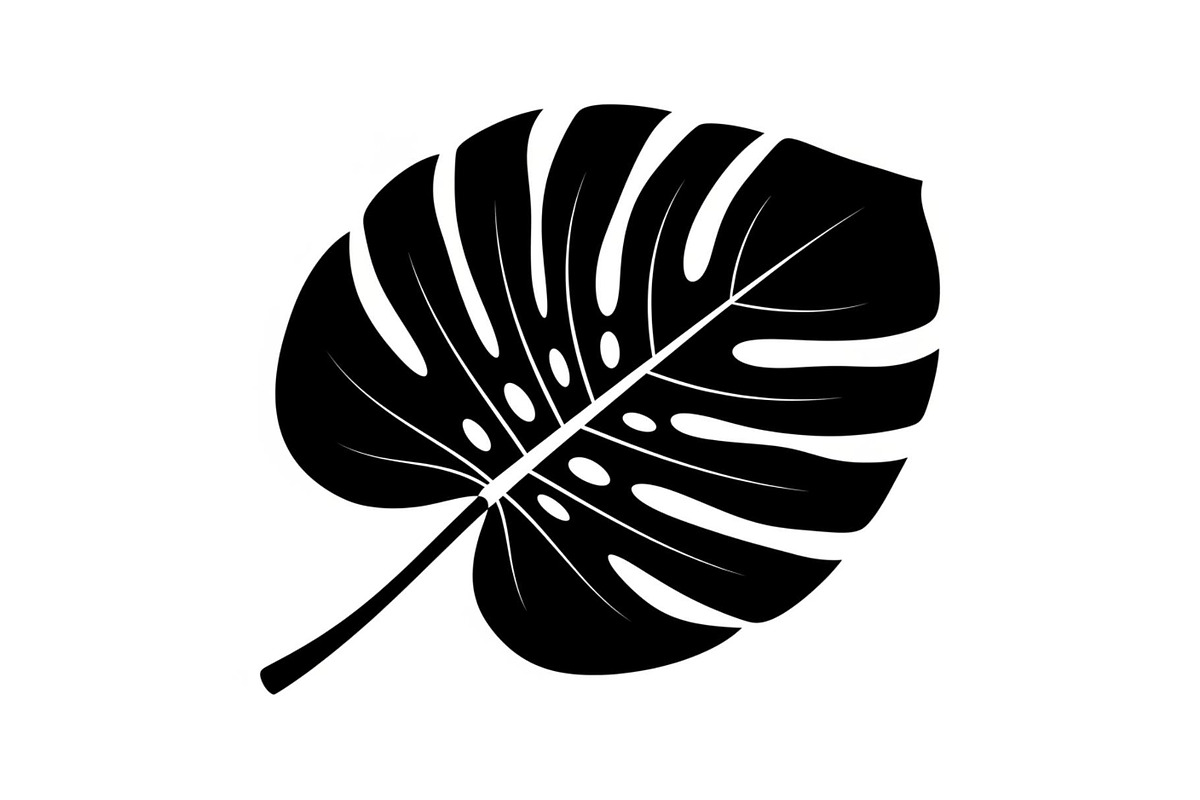 Monstera Leaf Silhouette Bundle, an Illustration by yasushie (Photo 12 of 31)