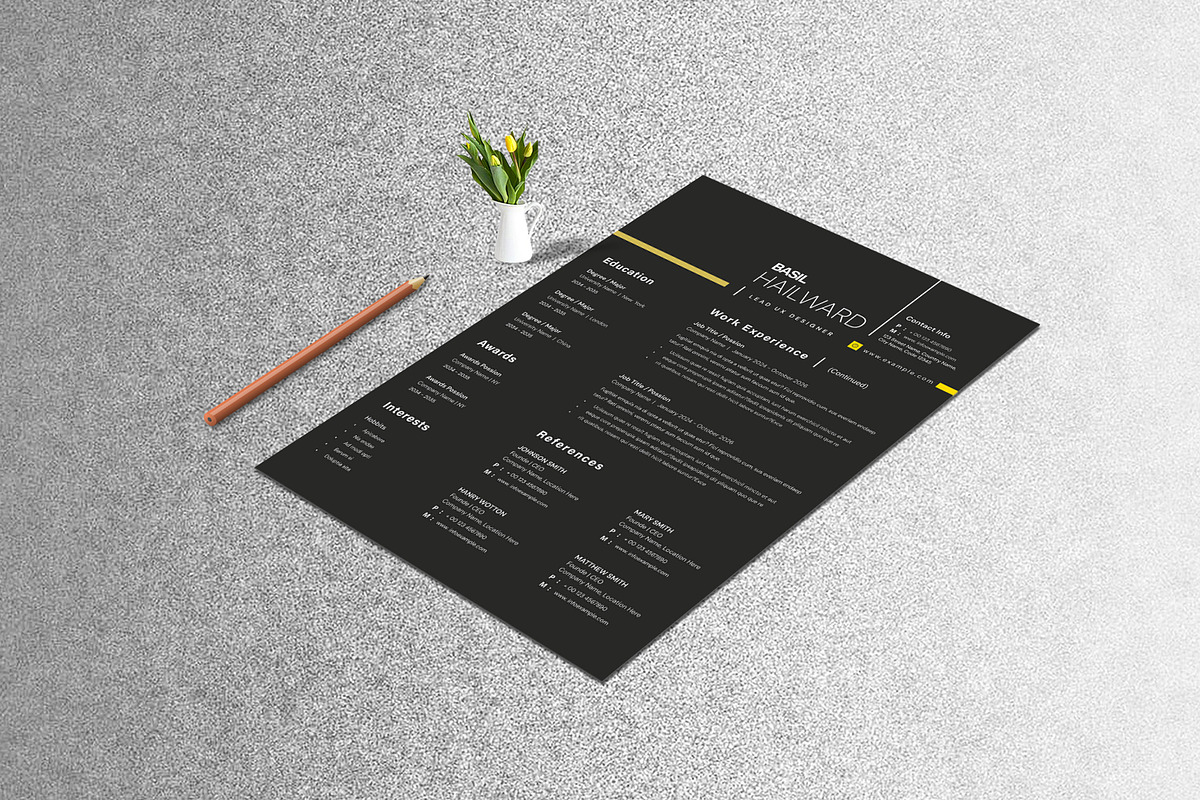 Clean CV Template Pack, a Resume Template by Creatiya Type