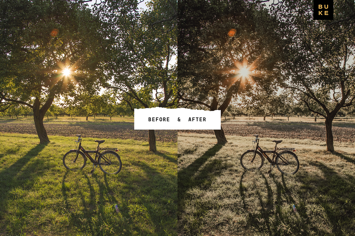 5 Tan Lightroom Presets Bundle, a Preset Add-On by SHOOM HOUSE (Photo 8 of 8)