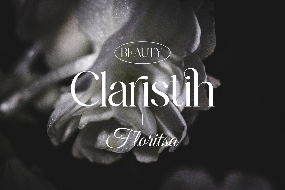Silorin || Modern Serif Font, a Serif Font by Ermedia Studio (Photo 3 of 10)