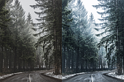 4 Winter Lightroom Presets, a Preset Add-On by AnagramDesign (Thumbnail 6 of 7)
