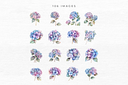 Hydrangea Clipart, Floral Clipart,, an Object Graphic by EllyandLima (Thumbnail 5 of 9)