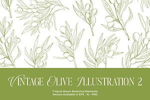 Vintage Olive Hand-drawn Elements