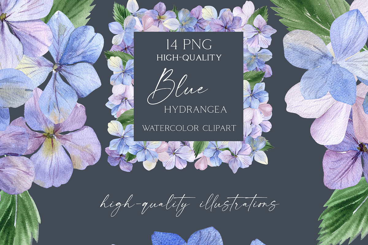 Watercolor Hydrangea Garden Set, an Illustration by Olga Koelsch (Photo 12 of 13)