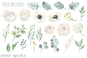 Watercolor White Flowers Clipart