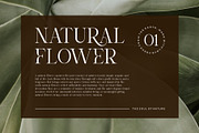Bolsgi || Modern Classy Serif Font, a Serif Font by Ermedia Studio (Thumbnail 9 of 10)