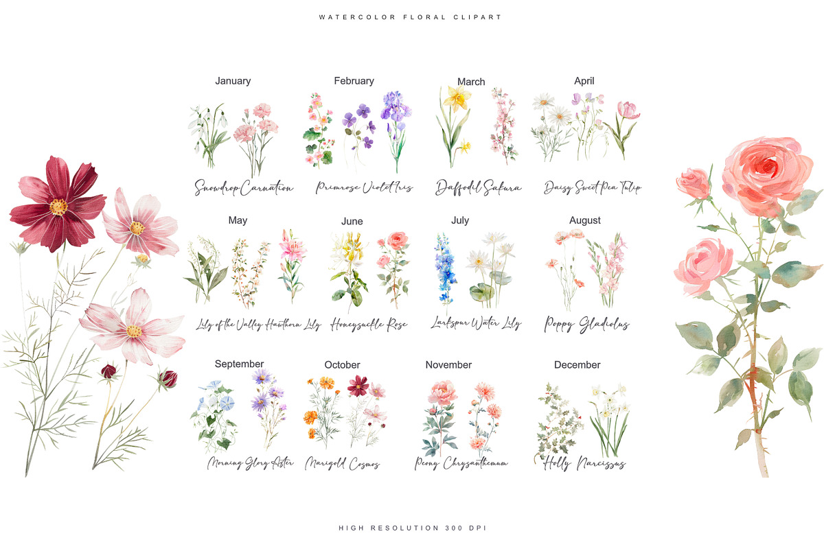 watercolor birth flowers collection, a Decorative Illustration by Patishop Art (Photo 8 of 9)