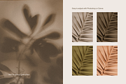 Komorebi Garden Shadows Backgrounds, a Background Graphic by Cosmic Energy Studio (Thumbnail 3 of 5)