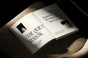 Aveline, Soft Serif with Ligatures, a Serif Font by CarmineType (Thumbnail 28 of 28)