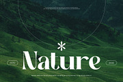 Nampy Elegant Serif Font, a Serif Font by Graphicxell (Thumbnail 7 of 10)