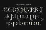 Bloom Haven - Beauty Branding Font, a Serif Font by Sohel Studio (Thumbnail 10 of 11)
