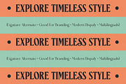 Ceganf Modern High Contrast Serif, a Serif Font by timelesstype.co (Thumbnail 11 of 20)