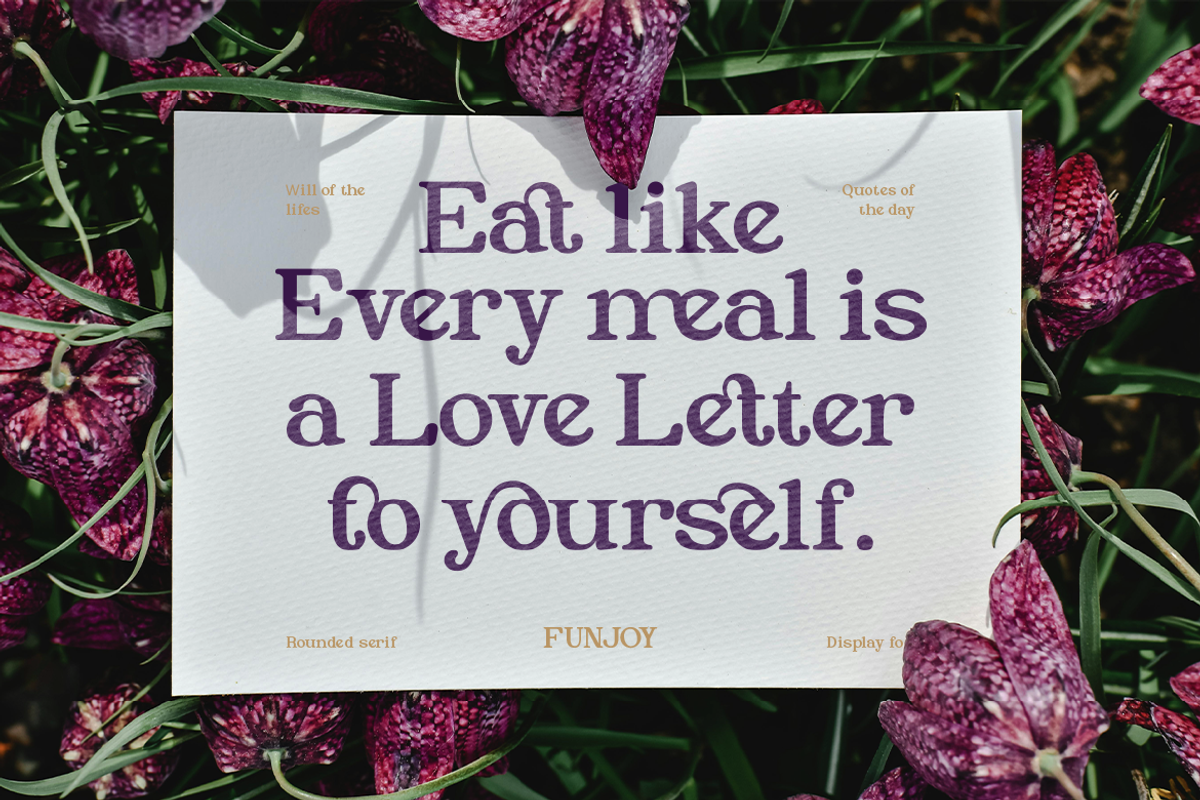 Funjoy, a Serif Font by Burntilldead (Photo 4 of 12)