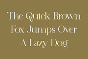 Greffone - Modern Stylish, a Serif Font by RockboyStd (Thumbnail 7 of 12)
