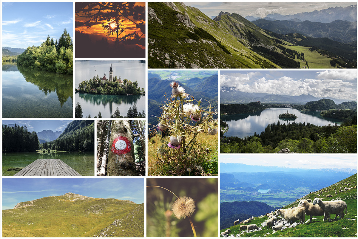 Huge Nature Photo Pack - 150 Images, a Templates & Theme by PremiumCoding (Photo 5 of 5)