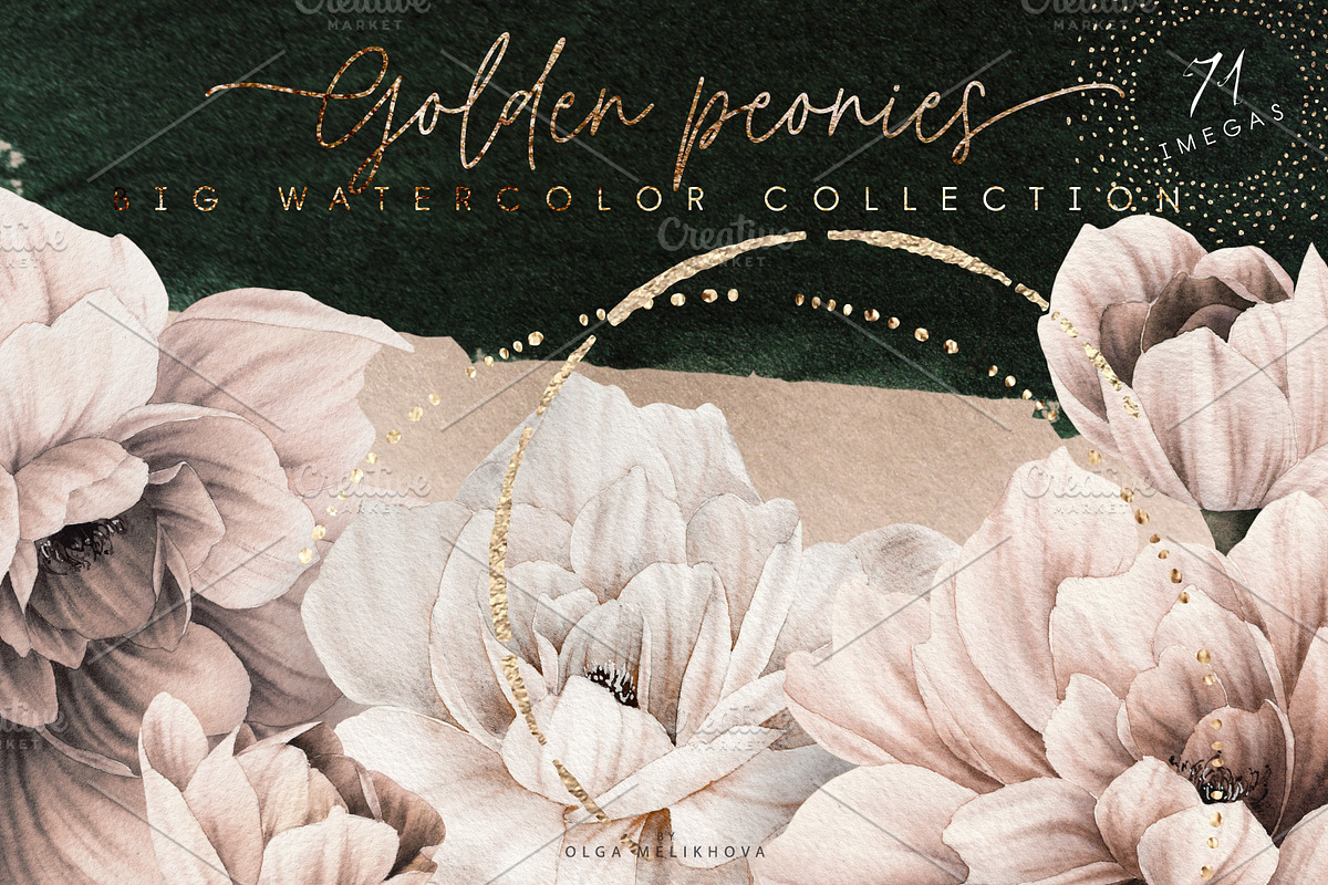 WATERCOLOR BUNDLE Peonies & Roses, an Illustration by ollalya (Photo 54 of 101)