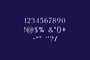Gilmoray Elegant Sans Serif Font, a Sans Serif Font by UICreative (Thumbnail 9 of 12)
