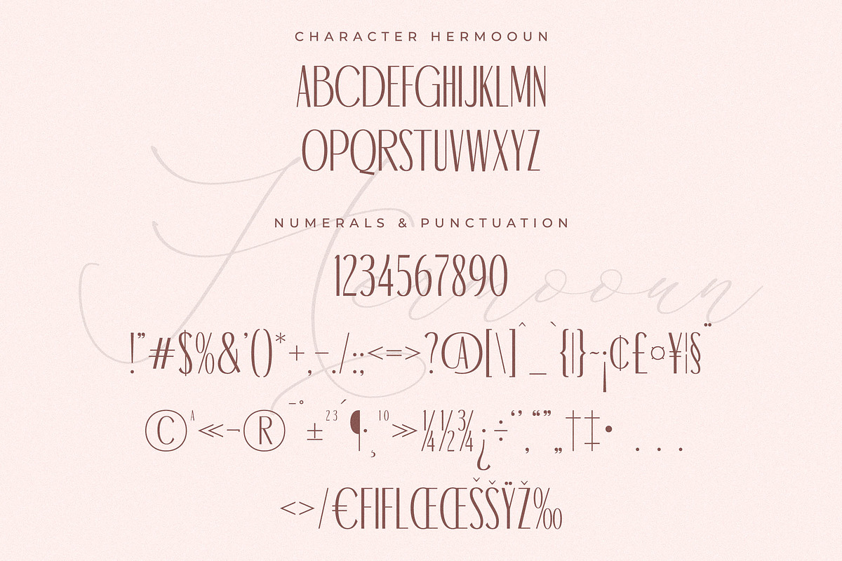 Hermooun Ligatures Sans Serif Font, a Sans Serif Font by Storytype Studio (Photo 13 of 15)