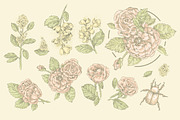 12 handsketched flower elements, a Decorative Illustration by Artha Design Studio (Thumbnail 2 of 6)