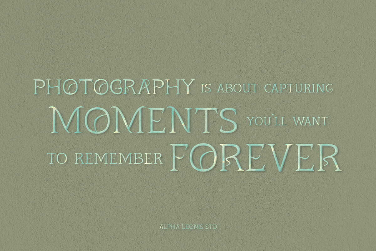 Quiana Serif, a Serif Font by Alphaleonis_std (Photo 8 of 9)