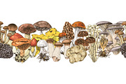 Hand drawn edible mushrooms set, a Food Illustration by handsketched (Thumbnail 9 of 10)