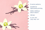 Vanilla beans - Set of patterns, a Pattern Graphic by Yummy (Thumbnail 2 of 8)